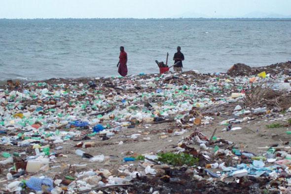 Haitian Coast